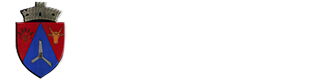 Primăria Cochirleanca Logo